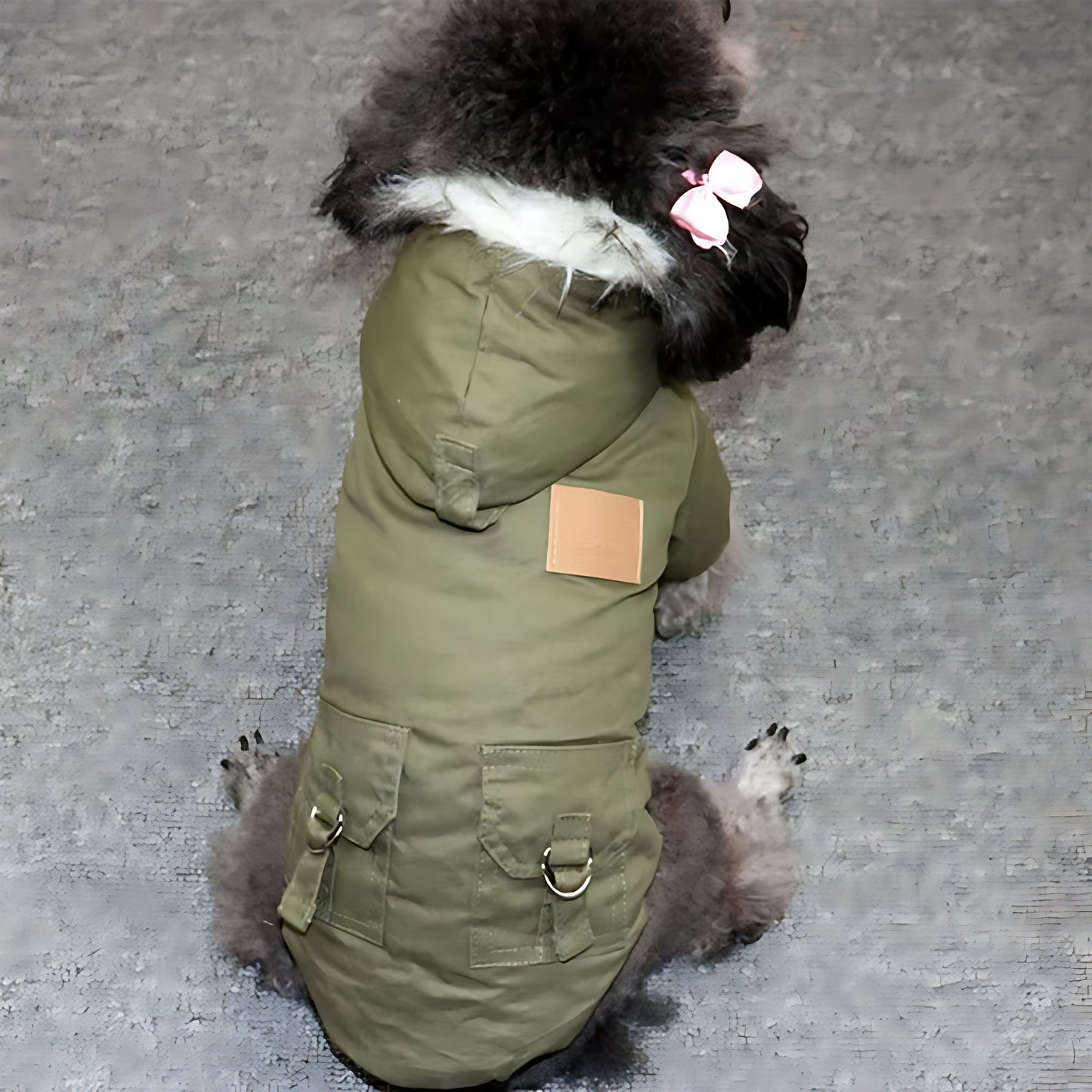 Warm Winter Dog Hoodie Coat for Small and Medium Pets
