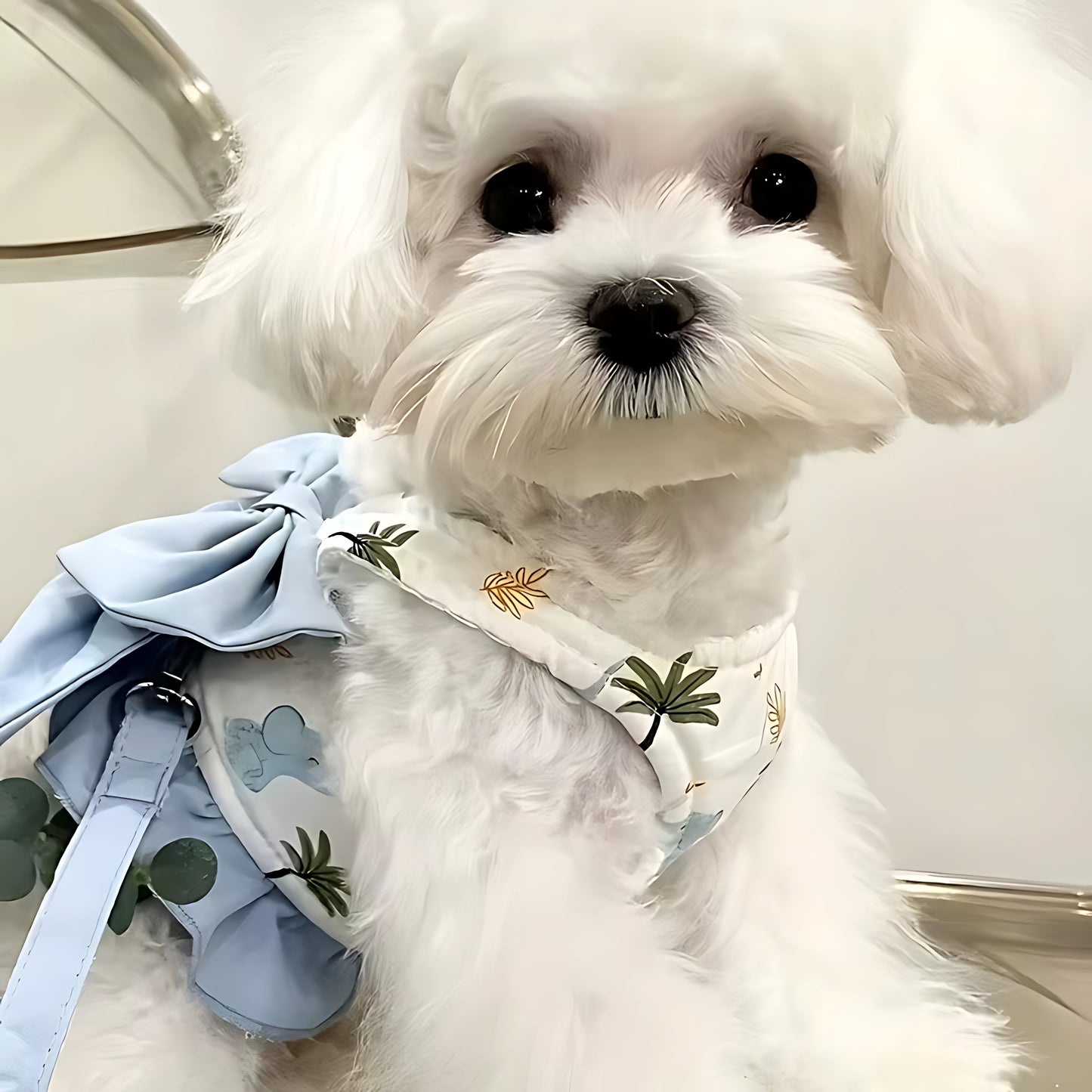 Breathable Dog Vest Harness Set with Collar & Lead