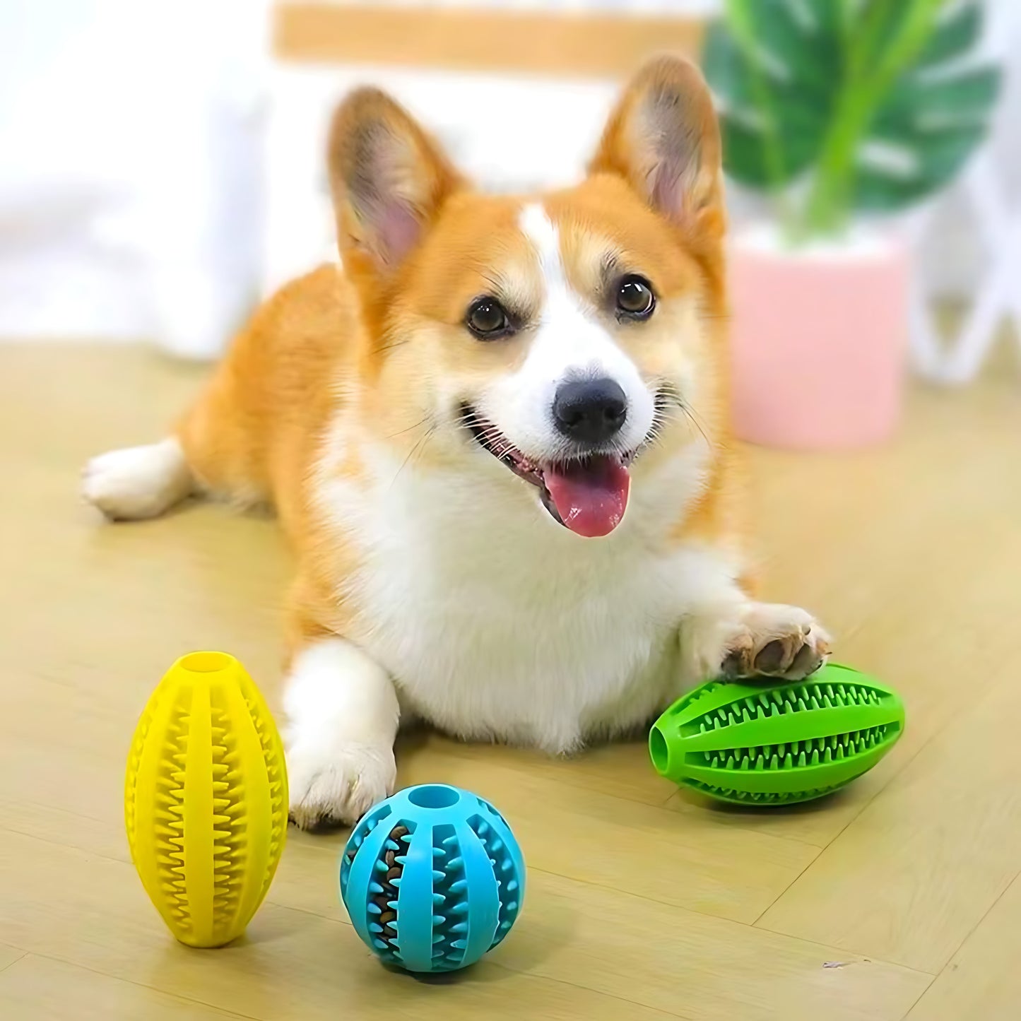 Rugby Ball Dog Chew Toy with Massage Bristles