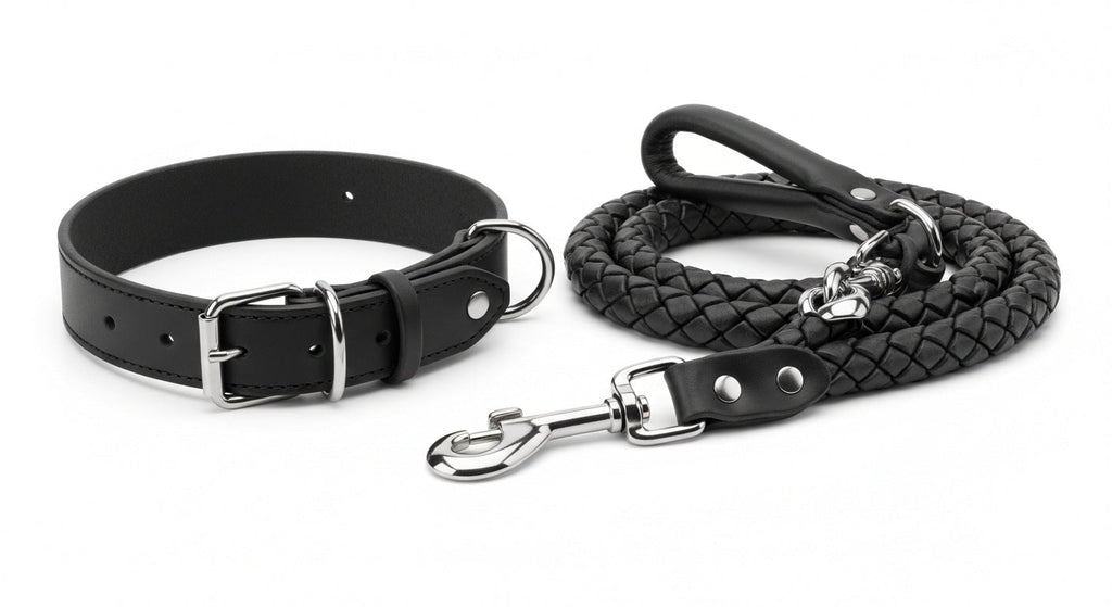 Braided Leather Dog Collar & Leash Set for Medium & Large Dogs