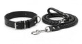 Braided Leather Dog Collar & Leash Set for Medium & Large Dogs