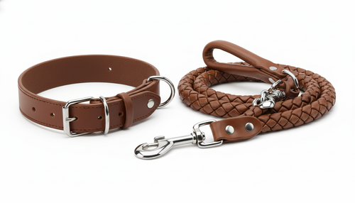 Braided Leather Dog Collar & Leash Set for Medium & Large Dogs