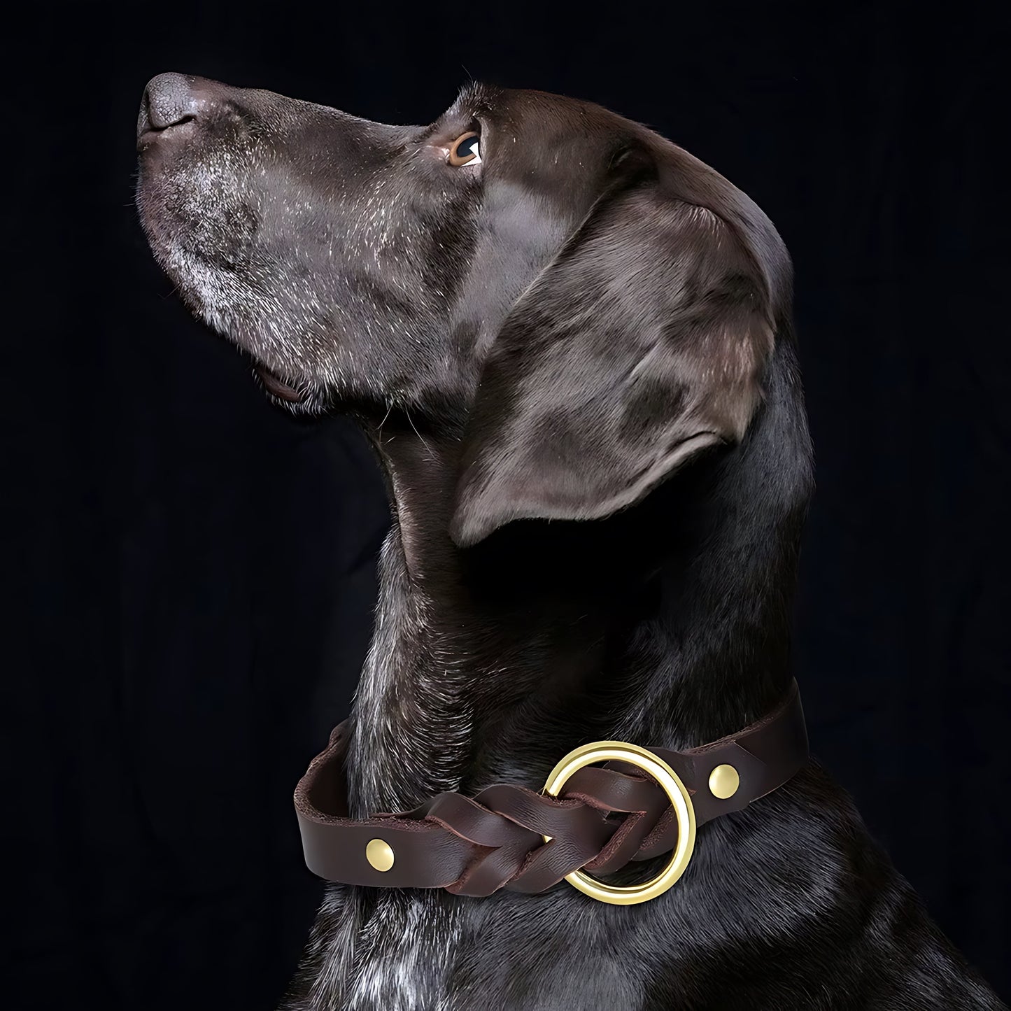 Genuine Leather Dog Collar And Leash Set For Large Dogs