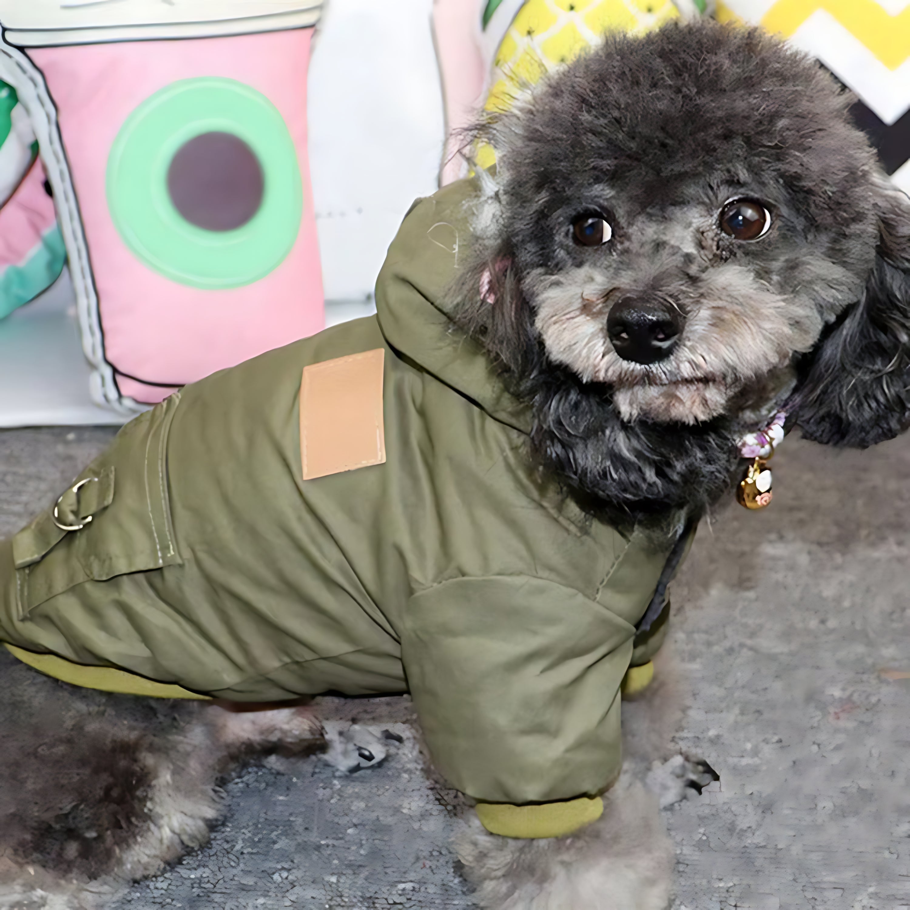 Winter Dog Hoodie Coat for Puppies & Small Dogs