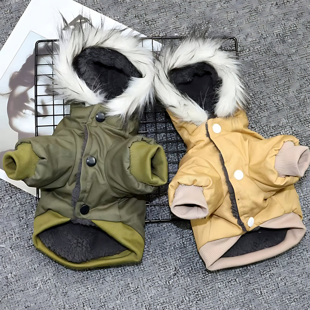 Winter Dog Hoodie Coat for Puppies & Small Dogs