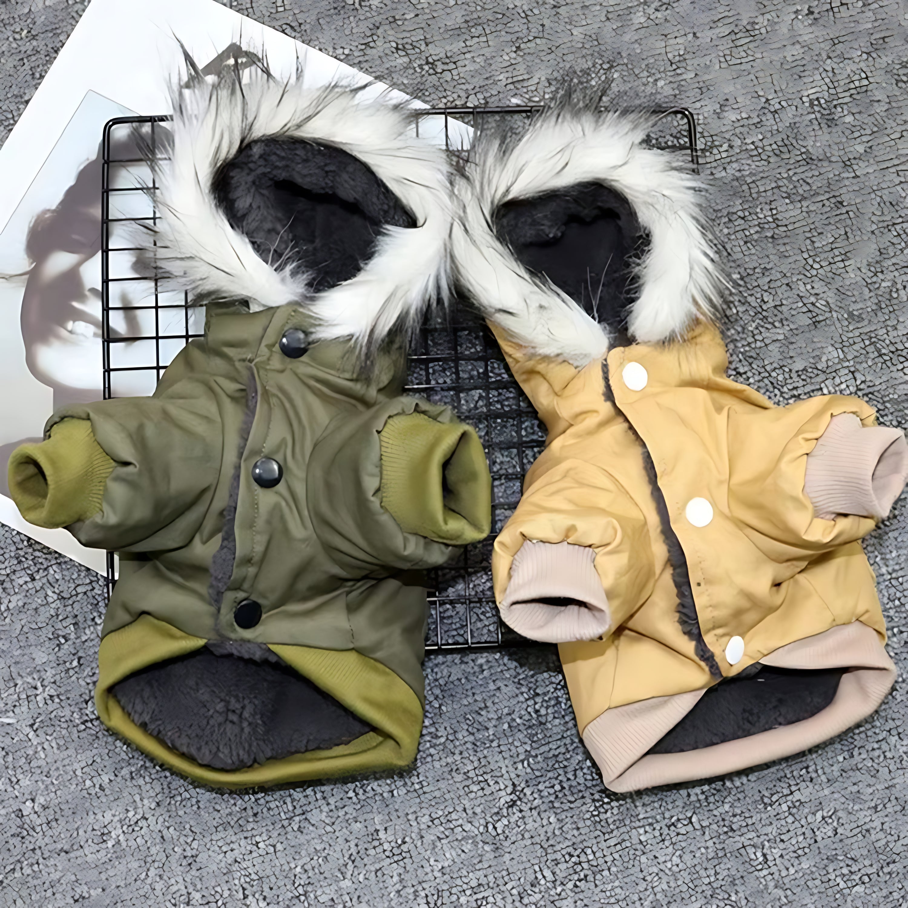 Winter Dog Hoodie Coat for Puppies & Small Dogs