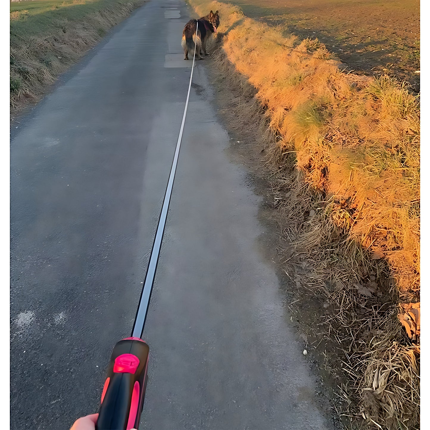 Retractable Dog Lead – Heavy Duty Up To 50kg