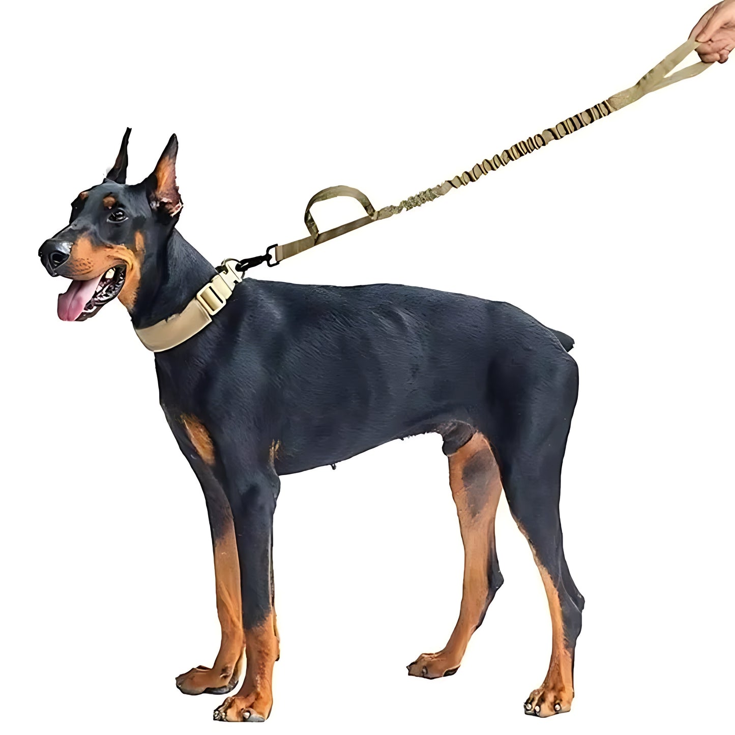 Tactical Dog Collar And Leash Set – Shock-Absorbing Nylon