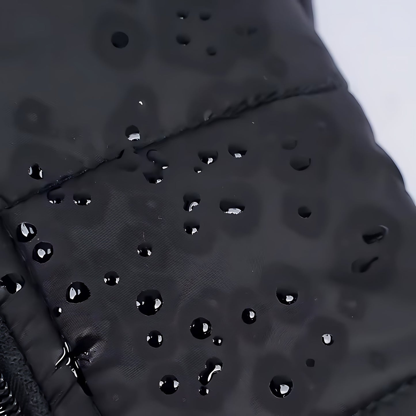 Waterproof Winter Dog Jacket – Padded Zipper Coat