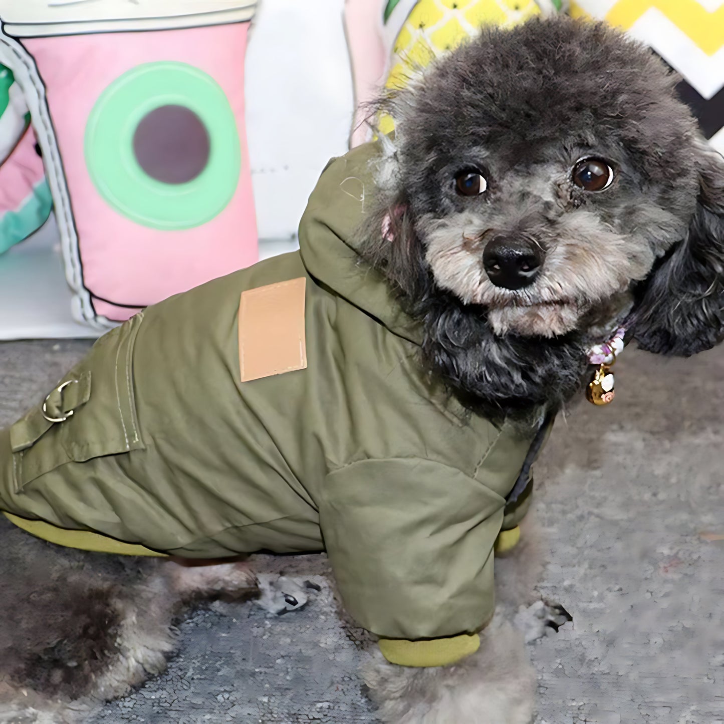 Warm Winter Dog Hoodie Coat for Small and Medium Pets